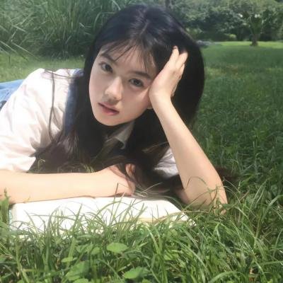 狮蚁