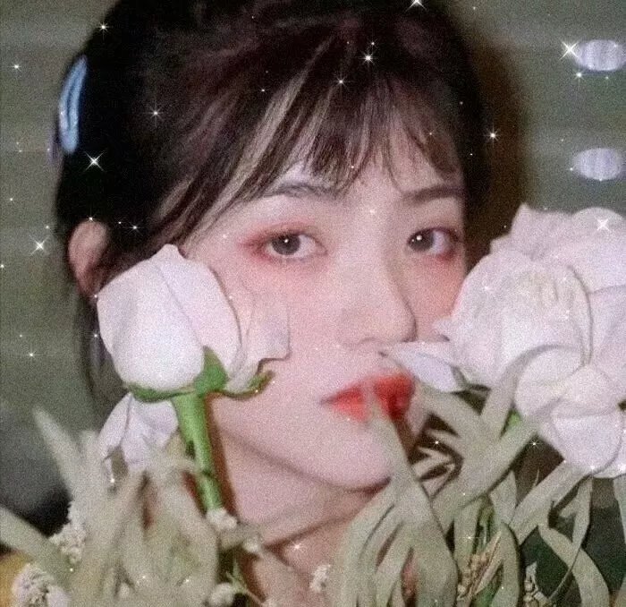 我们的队伍向太阳